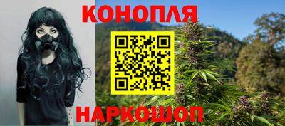 PSILOCYBIN Заводоуковск