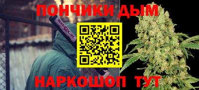 PSILOCYBIN Заводоуковск