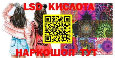 PSILOCYBIN Заводоуковск